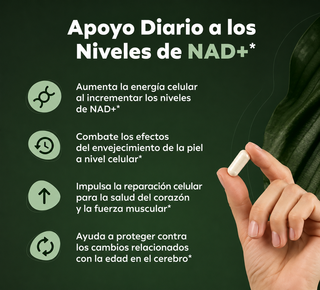 SUPLEMENTO DE NAD+ PARA ENERGÍA Y ANTIENVEJECIMIENTO CELULAR